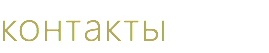 контакты