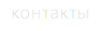 контакты